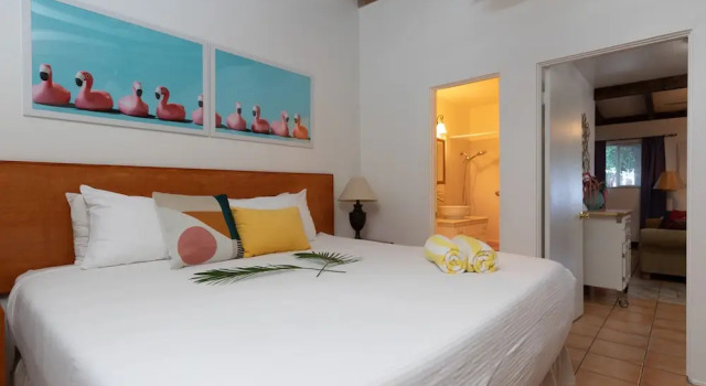 Номер Premium Float Palm Springs