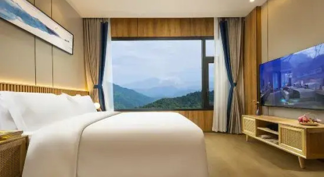 Люкс с 2 комнатами Zunbo Forest Vacation Apartment (Qingcheng Mountain Scenic Area)