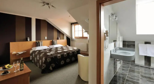 Двухместный номер Deluxe Hotel Galant Mikulov
