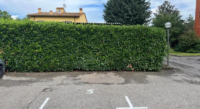 Апартаменты Dario's House