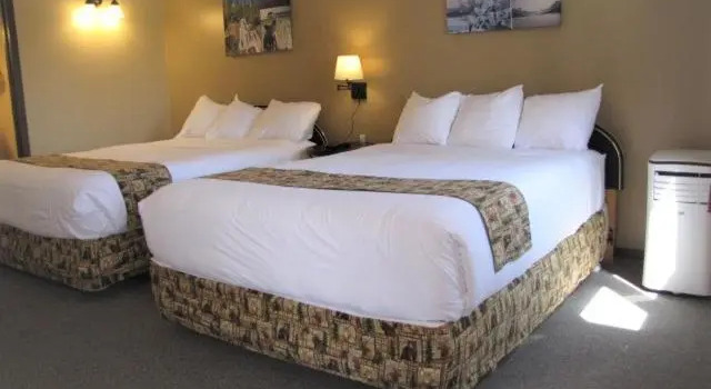 Четырёхместный номер Standard Bear Country Inn and Suites