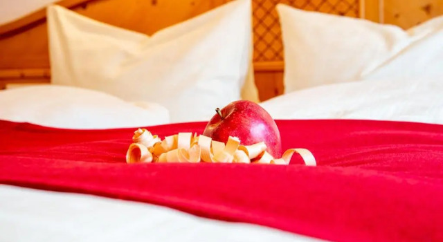 Двухместный номер Standard с видом на горы Biohotel Rastbichlhof inkl STUBAI SUPER CARD