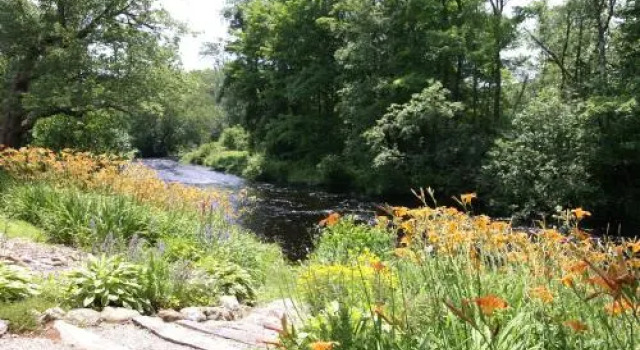 Little River Bed & Breakfast, Брондау Қонақ үй Петербороу Нью-Гэмпшир