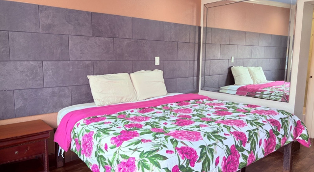 Двухместный номер Standard Regency Inn Houston near Hobby Airport