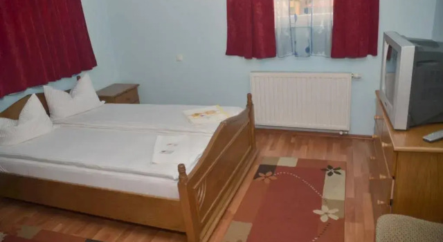 Pensiunea La Palaguta, Rezerwuj Hotel Baia Mare 