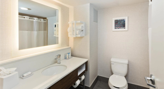 Двухместный номер Standard Hampton Inn & Suites Lanett/West Point