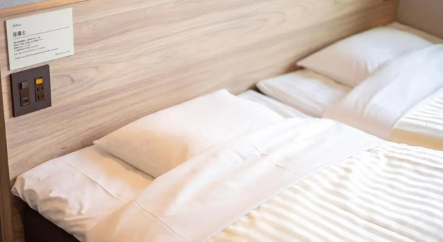 Двухместный номер Deluxe Super Hotel Fujikawaguchiko Tennenonsen