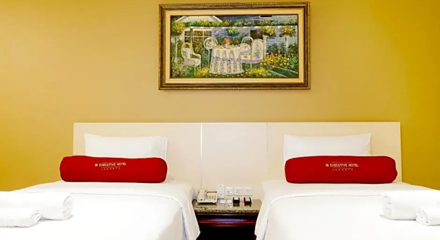 Standard Zimmer BI Executive Hotel