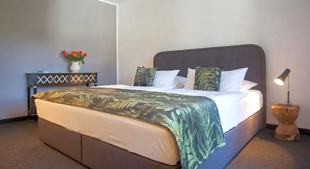 Номер Standard с балконом Boutique-Hotel Weigels Bergfreiheit