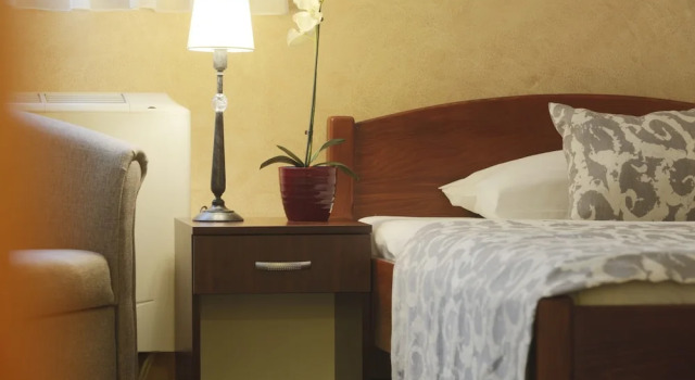 Номер Economy Guesthouse Tara