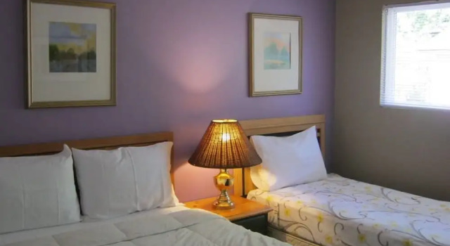 Номер Standard A1 B&B Surrey