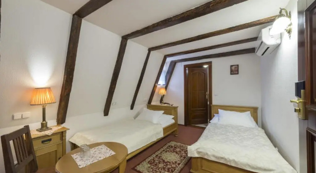 Habitación doble Estándar Hotel Cerny Slon
