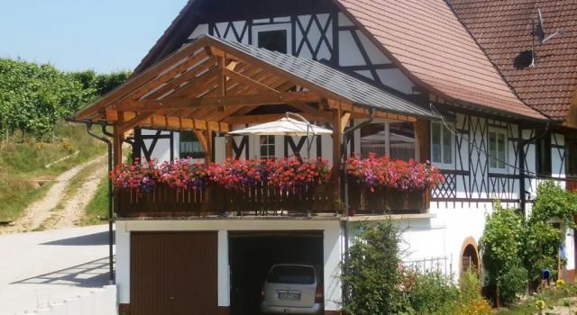 Апартаменты с 2 комнатами Steinhof