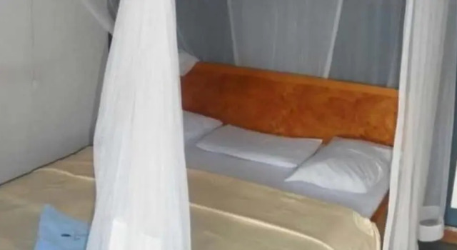 Трёхместный номер Standard The Yellow Green Hotel