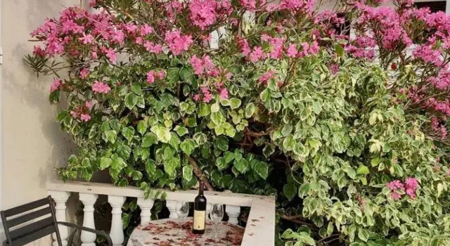 Студия с видом на море Apartmani Kažanegra33