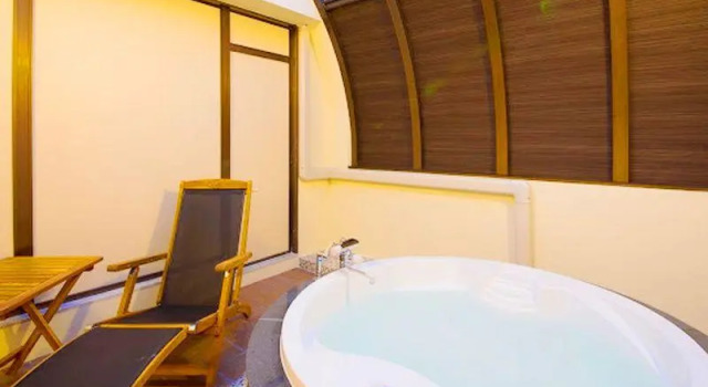 Люкс Hotel Lotus Sakai