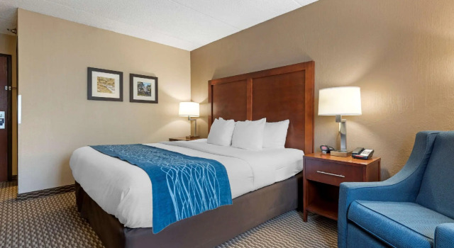 Двухместный номер Standard Comfort Inn University