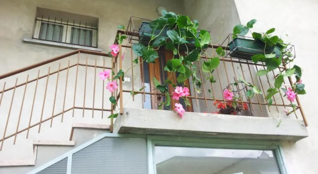 Коттедж A casa di Albino e Giovannina