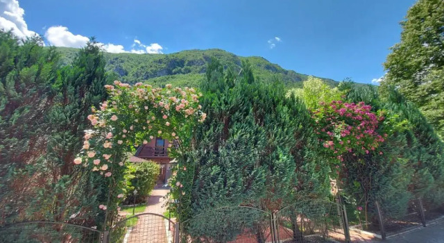 Апартаменты Viola i Detelina Apartments