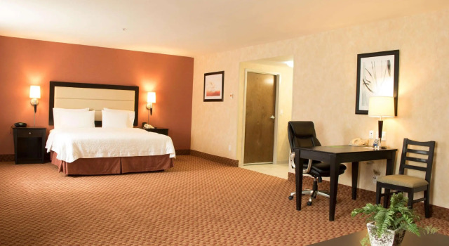 Двухместная студия Hampton Inn by Hilton Ciudad Victoria