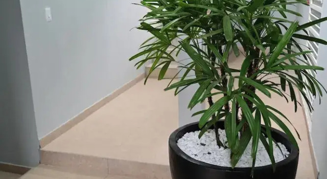 Люкс Deluxe Hotel Jardim Tropical