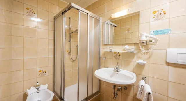Номер Economy Hotel Waldheim