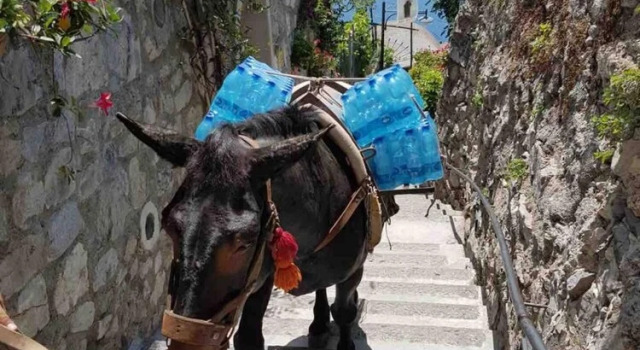 Апартаменты Goat Path