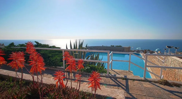 Don Carlos Pool Residence