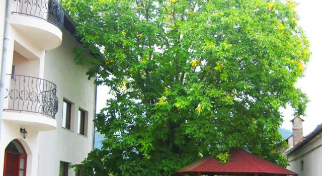 Pensiunea Victoria, Rezervovat Hotel Hotely v Prahova Valley s parkováním, Parkování
