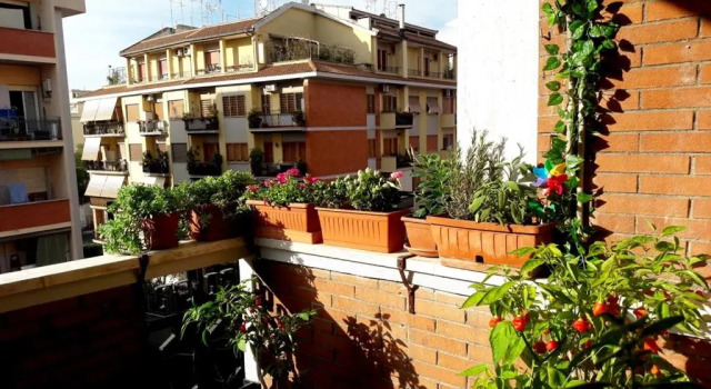 La casa di Egle 2020, Boek Hotel Hotels in Lazio met parkeren, Parkeren