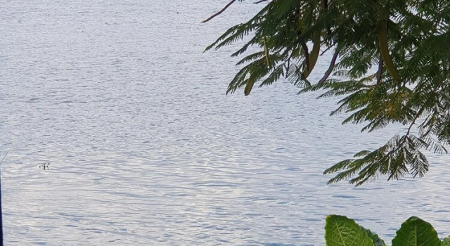 Четырёхместный семейный номер Standard Waters Edge Liwonde