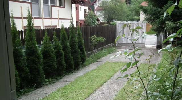 Коттедж с 2 комнатами Casuta Mica