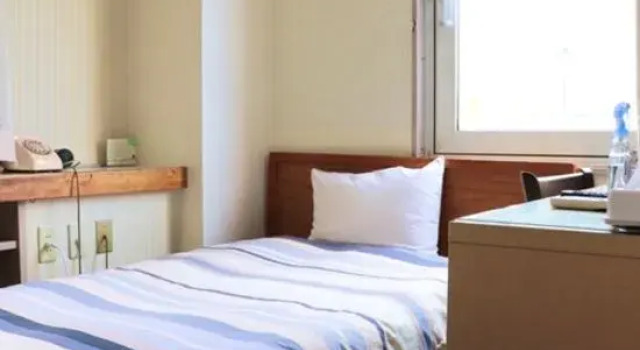 Одноместный номер Standard Mito Daiichi Hotel Bekkan