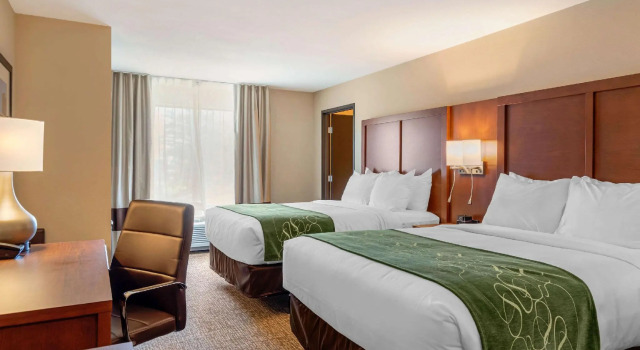 Четырёхместный люкс Comfort Inn & Suites Schenectady - Scotia