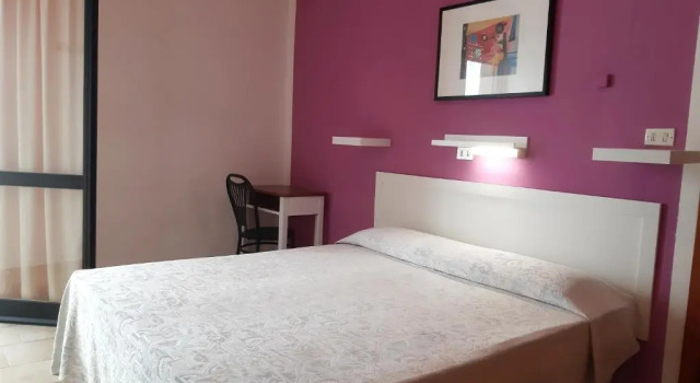 Двухместный номер Standard с балконом Hotel Zenith