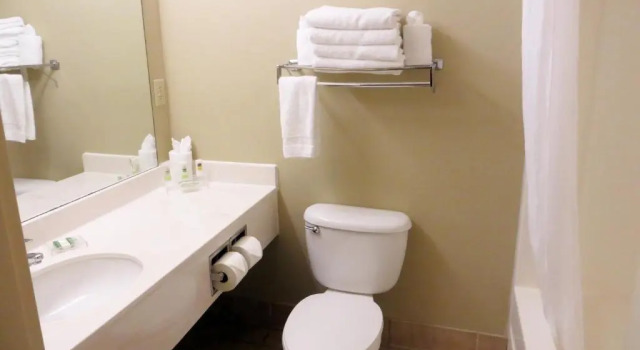 Номер Standard Spark by Hilton Orlando Universal Boulevard