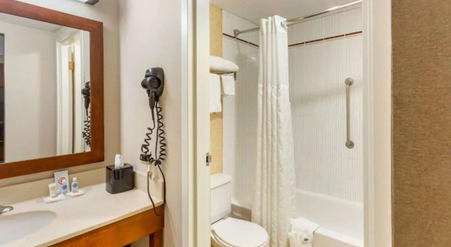 Четырёхместный люкс c 1 комнатой Comfort Suites Oakbrook Terrace near Oakbrook Center