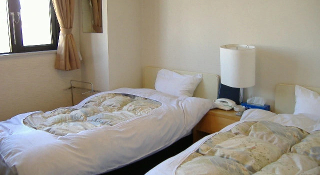 Двухместный номер Standard Hotel New Kanei