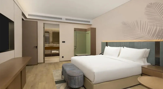 Люкс Deluxe Hilton Garden Inn Zhongwei Shapotou