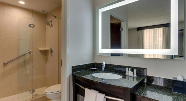 Двухместный люкс c 1 комнатой с видом на город SpringHill Suites by Marriott Birmingham Downtown at UAB
