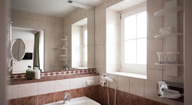 Номер Standard Hotel Goldener Ochs
