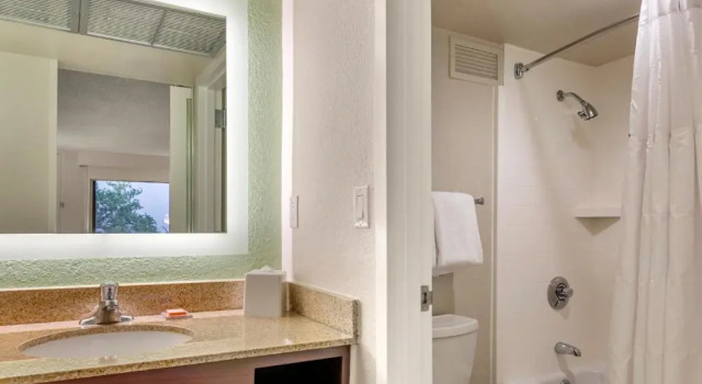Двухместный номер с видом на озеро Wyndham Garden Lake Buena Vista   Disney Springs® Area