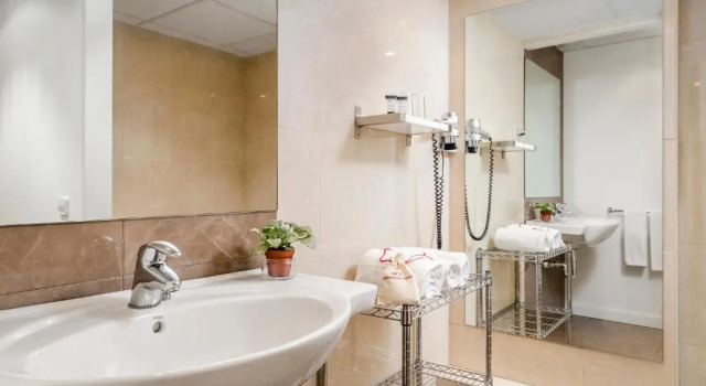 Одноместный номер Hotel Palacios