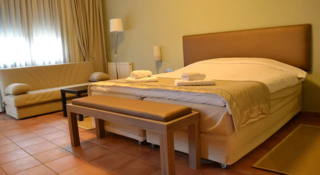 Ellopia Point Boutique Suites, Rezervovat Hotel Hotely v Ioannina Regional Unit s bazénem, Bazén