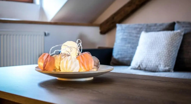 Апартаменты Tylova Apartments