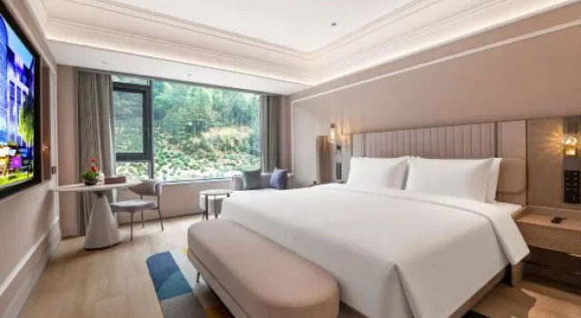 Люкс Mercure Hotel