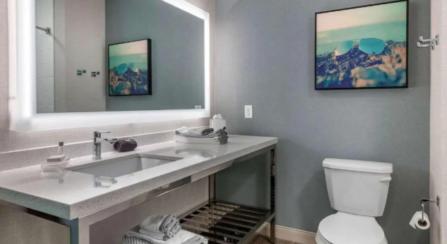 Люкс Cambria Hotel St Petersburg-Madeira Beach Marina