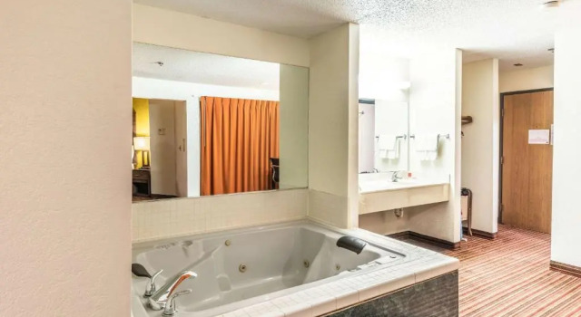 Люкс Econo Lodge Inn & Suites Mckinney - Plano North