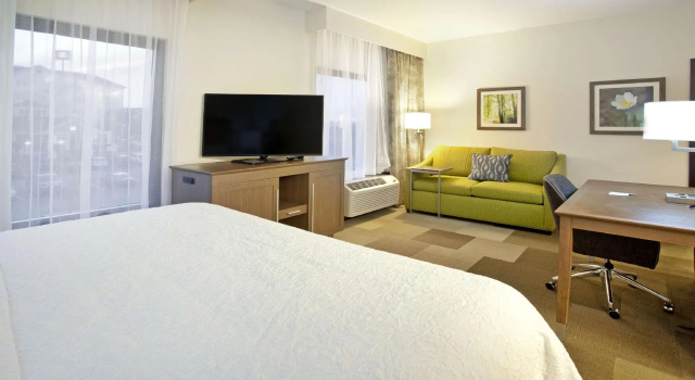 Двухместный люкс Hampton Inn & Suites Nashville-Smyrna