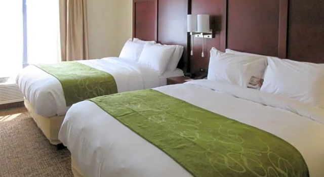 Семейный люкс Comfort Suites Piedmont - Greenville South